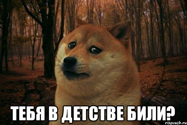  тебя в детстве били?, Мем SAD DOGE