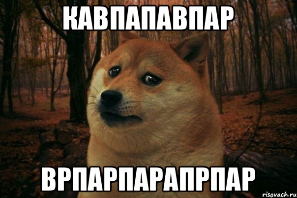 Кавпапавпар врпарпарапрпар, Мем SAD DOGE