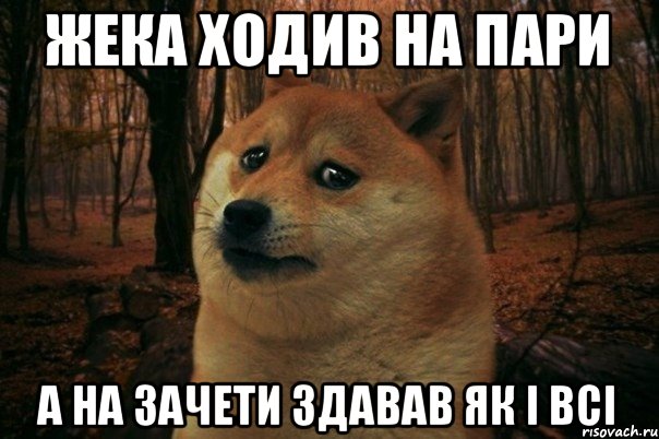 Жека ходив на пари а на зачети здавав як і всі, Мем SAD DOGE