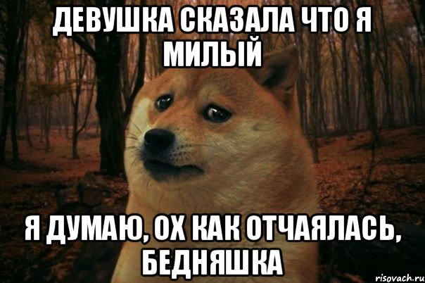 Девушка сказала что я милый я думаю, ох как отчаялась, бедняшка, Мем SAD DOGE