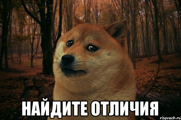  найдите отличия, Мем SAD DOGE