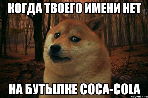 когда твоего имени нет на бутылке Coca-cola, Мем SAD DOGE