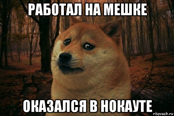 работал на мешке оказался в нокауте, Мем SAD DOGE