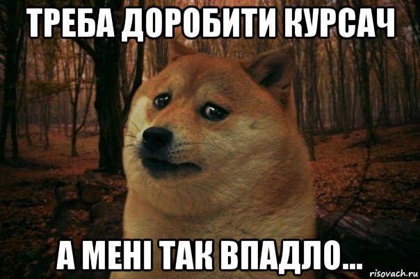 треба доробити курсач а мені так впадло..., Мем SAD DOGE