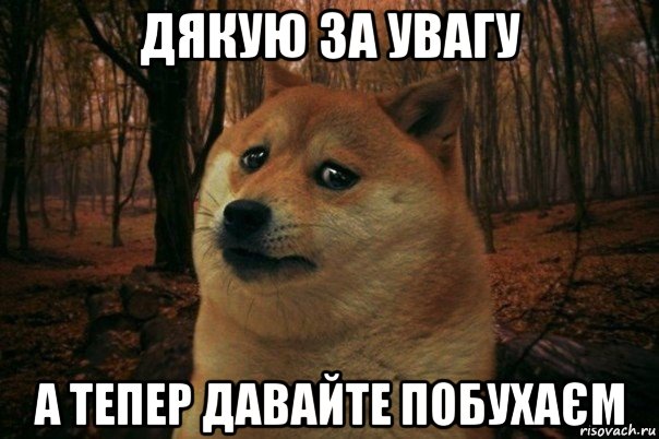 дякую за увагу а тепер давайте побухаєм, Мем SAD DOGE