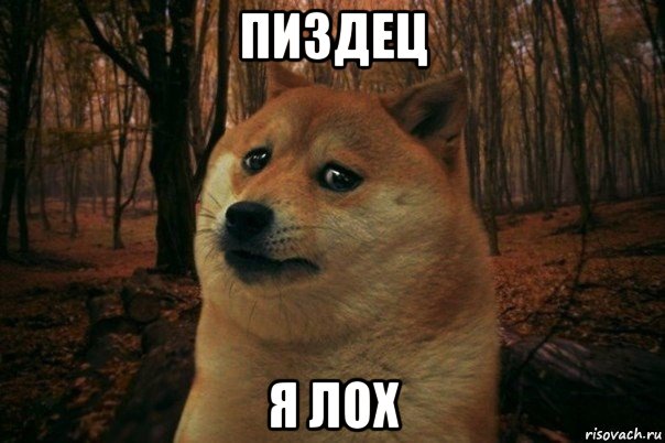 пиздец я лох, Мем SAD DOGE