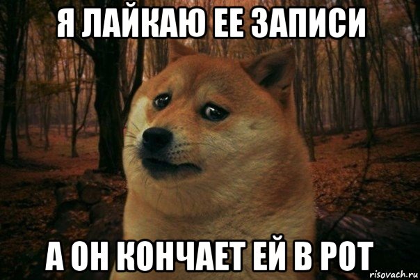 я лайкаю ее записи а он кончает ей в рот, Мем SAD DOGE