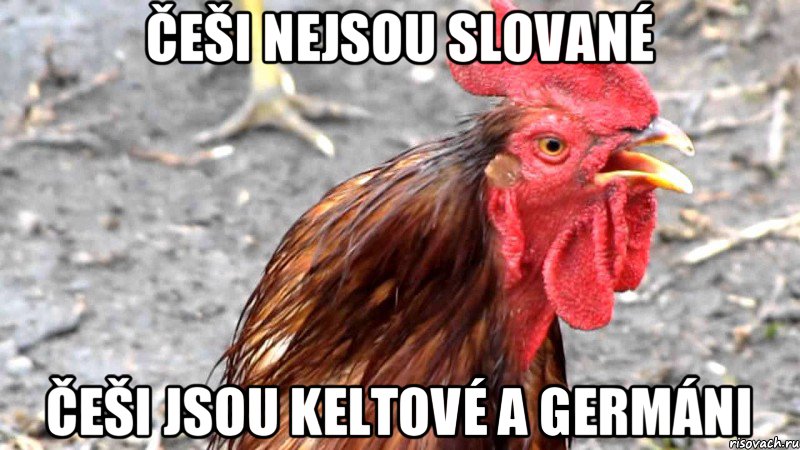 Češi nejsou slované češi jsou keltové a germáni