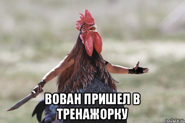  вован пришел в тренажорку, Мем Петух