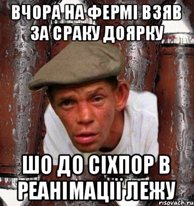 вчора на фермі взяв за сраку доярку шо до сіхпор в реанімації лежу