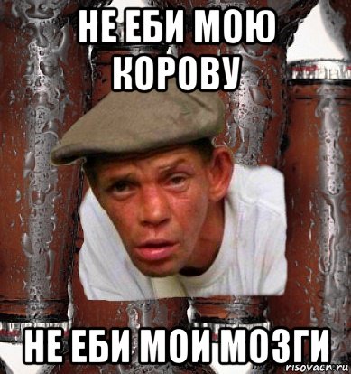 не еби мою корову не еби мои мозги