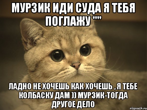 Мурзик иди суда я тебя поглажу "" Ладно не хочешь как хочешь , я тебе колбаску дам )) Мурзик-Тогда другое дело, Мем Пидрила ебаная котик