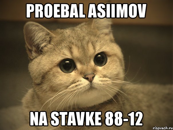 PROEBAL ASIIMOV NA STAVKE 88-12, Мем Пидрила ебаная котик