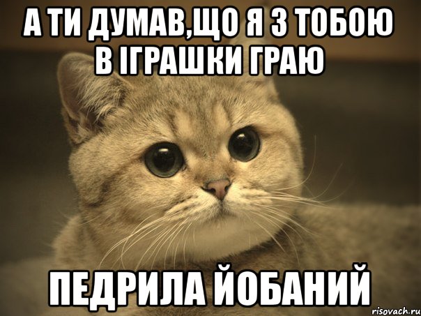 А ти думав,що я з тобою в іграшки граю Педрила йобаний, Мем Пидрила ебаная котик