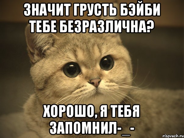 Значит грусть бэйби тебе безразлична? Хорошо, я тебя запомнил-_-, Мем Пидрила ебаная котик