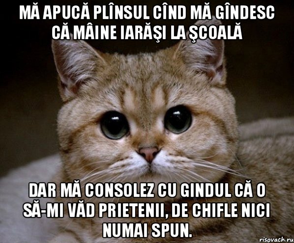 Mă apucă plînsul cînd mă gîndesc că mâine iarăşi la şcoală Dar mă consolez cu gindul că o să-mi văd prietenii, de chifle nici numai spun., Мем Пидрила Ебаная