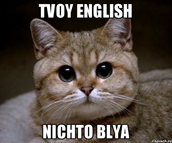 tvoy english nichto blya, Мем Пидрила Ебаная