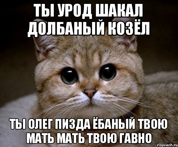 ты урод шакал долбаный козёл ты Олег пизда ёбаный твою мать мать твою гавно, Мем Пидрила Ебаная