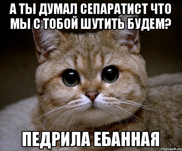 А ТЫ ДУМАЛ СЕПАРАТИСТ ЧТО МЫ С ТОБОЙ ШУТИТЬ БУДЕМ? ПЕДРИЛА ЕБАННАЯ, Мем Пидрила Ебаная