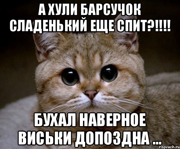 А ХУЛИ БАРСУЧОК СЛАДЕНЬКИЙ ЕЩЕ СПИТ?!!!! Бухал наверное виськи допоздна ..., Мем Пидрила Ебаная