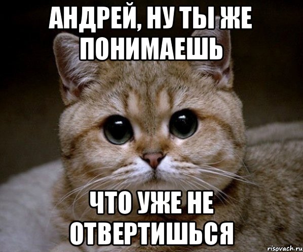 Андрей, ну ты же понимаешь Что уже не отвертишься, Мем Пидрила Ебаная