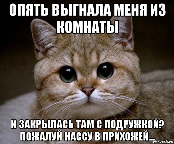 опять выгнала меня из комнаты и закрылась там с подружкой? пожалуй нассу в прихожей..., Мем Пидрила Ебаная