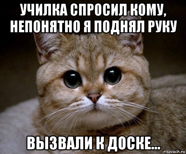 училка спросил кому, непонятно я поднял руку вызвали к доске..., Мем Пидрила Ебаная