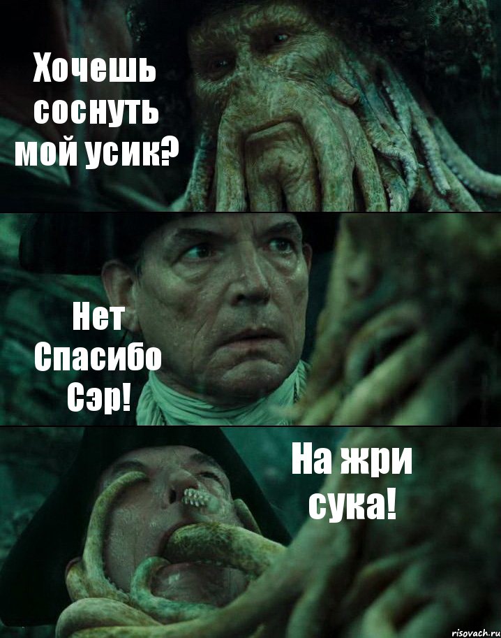 Хочешь соснуть мой усик? Нет Спасибо Сэр! На жри сука!, Комикс Пираты Карибского моря