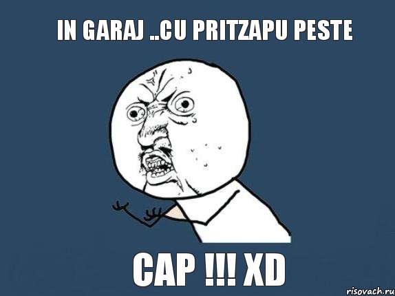 in garaj ..cu pritzapu peste cap !!! XD, Мем  почему мем