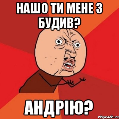 Нашо ти мене з будив? Андрію?, Мем Почему