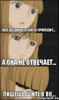 Ждешь Шилю,а она не приходит... Пишешь Шиле в вк... А она не отвечает..., Комикс пох