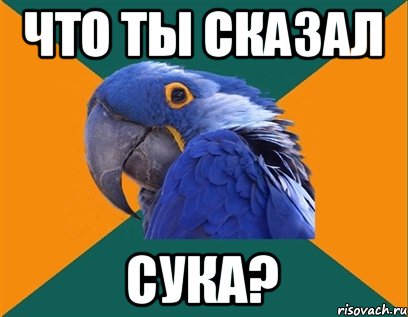 Что ты сказал Сука?