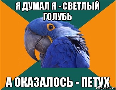 Я думал я - светлый голубь А оказалось - петух, Мем Попугай параноик