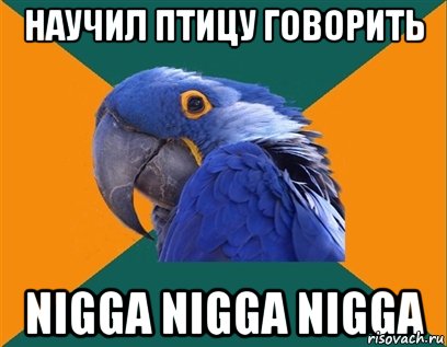 Научил птицу говорить Nigga nigga nigga, Мем Попугай параноик