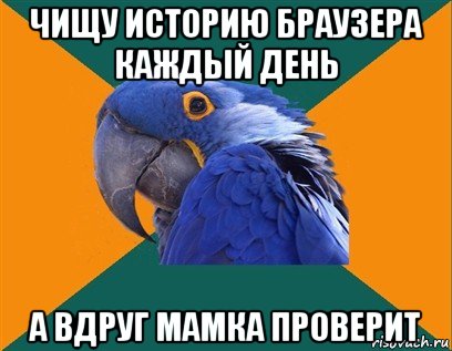 чищу историю браузера каждый день а вдруг мамка проверит, Мем Попугай параноик