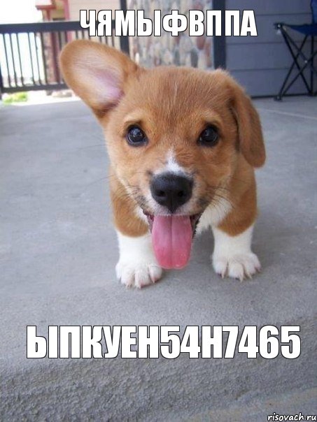 чямыфвппа ыпкуен54н7465