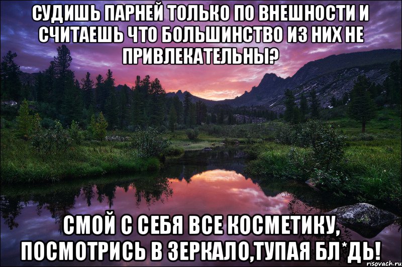 Судишь парней только по внешности и считаешь что большинство из них не привлекательны? Смой с себя все косметику, посмотрись в зеркало,тупая бл*дь!, Мем про девушек