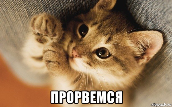  прорвемся, Мем Прорвемся