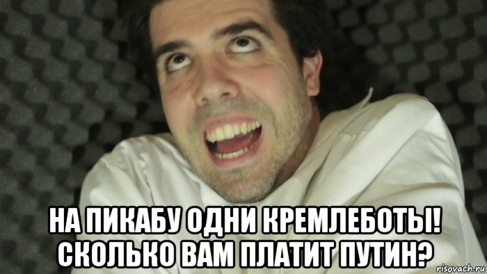  на пикабу одни кремлеботы! сколько вам платит путин?, Мем Пстх