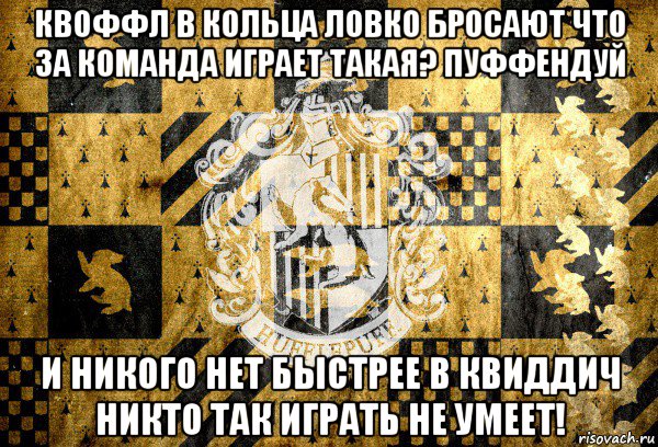 квоффл в кольца ловко бросают что за команда играет такая? пуффендуй и никого нет быстрее в квиддич никто так играть не умеет!