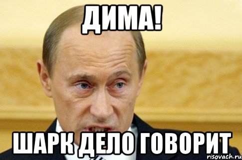 ДИМА! ШАРК ДЕЛО ГОВОРИТ, Мем путин