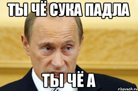 ты чё сука падла ты чё а, Мем путин