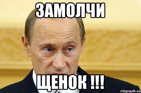 замолчи щенок !!!, Мем путин