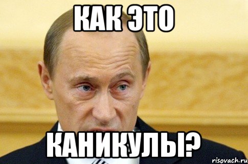 как это каникулы?, Мем путин