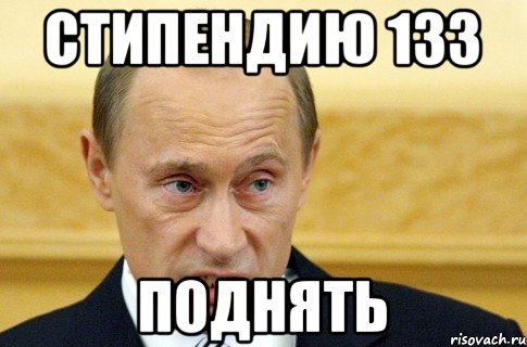 стипендию 133 ПОДНЯТЬ, Мем путин