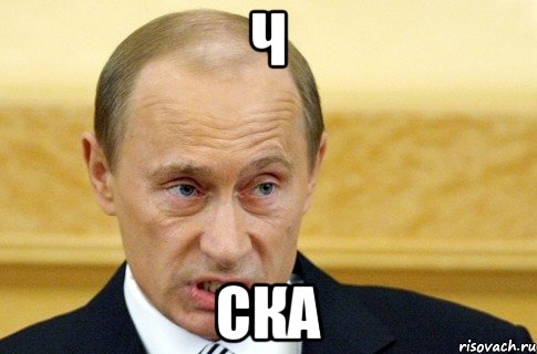 Ч Ска, Мем путин