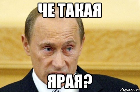 Че такая Ярая?, Мем путин