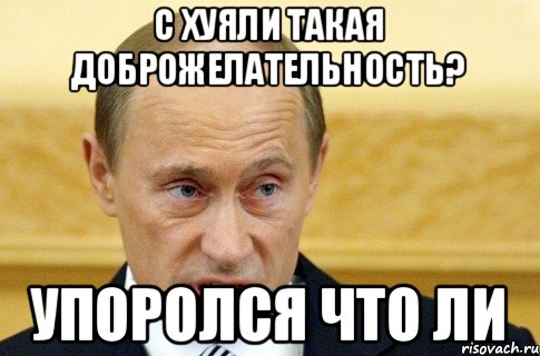 С хуяли такая доброжелательность? Упоролся что ли, Мем путин