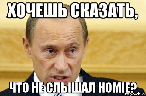 Хочешь сказать, Что не слышал HOMIE?, Мем путин