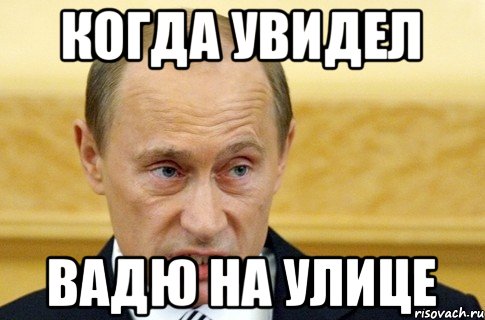 Когда увидел Вадю на улице, Мем путин